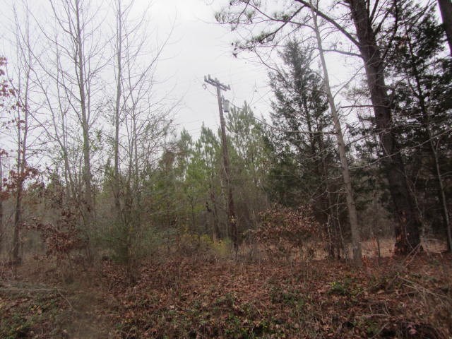 0 US 221S, Rutherfordton, NC 28139