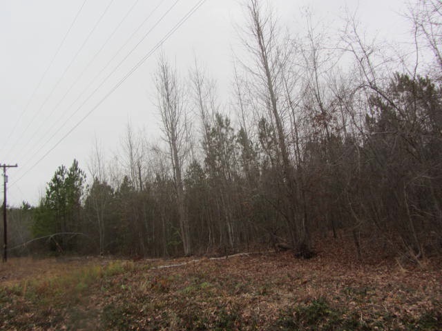 0 US 221S, Rutherfordton, NC 28139
