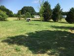 2036 POLK FORD ROAD ,NC, Stanfield, 28163