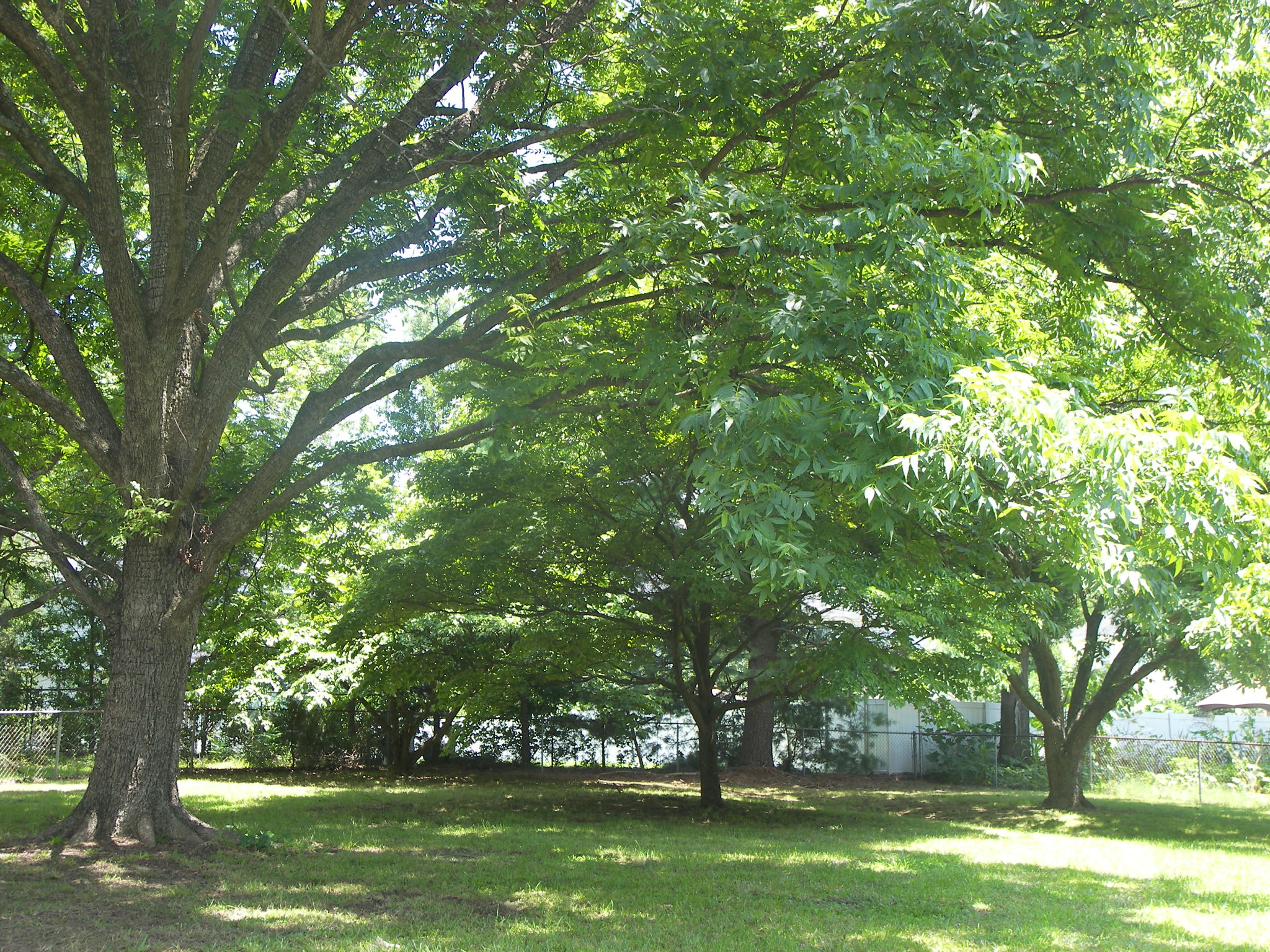 4526 Cloverdale AveCharlotte, NC, 28212Mecklenburg County