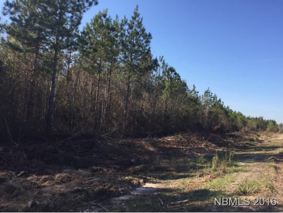 N/A Nc Highway 306, Grantsboro, NC 28529