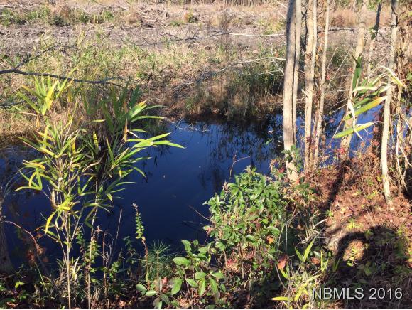 N/A Nc Highway 306, Grantsboro, NC 28529