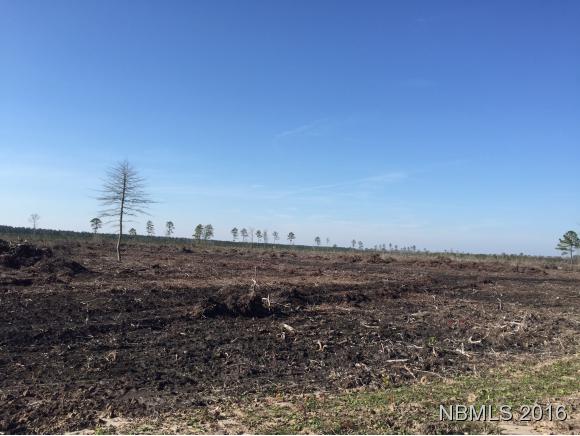 N/A Nc Highway 306, Grantsboro, NC 28529