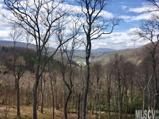 497 BLACK LOCUST CIR, Blowing Rock, NC 28605