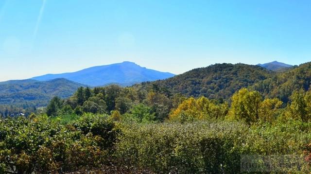 931 Hickory, Boone, NC 28607