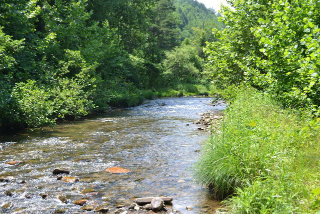 7216 Elk Creek Darby Rd., Ferguson, NC 28624
