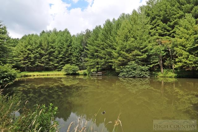 1352 Deep Ford Road, Lansing, NC 28643