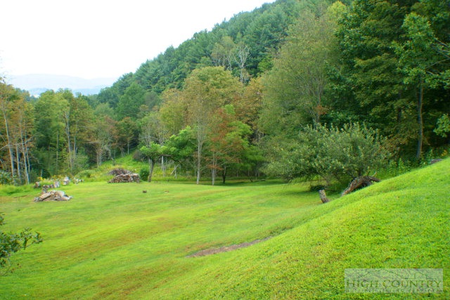 3448 Phillips Branch Road, Vilas, NC 28692