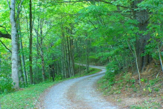 3448 Phillips Branch Road, Vilas, NC 28692