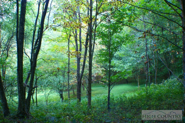 3448 Phillips Branch Road, Vilas, NC 28692