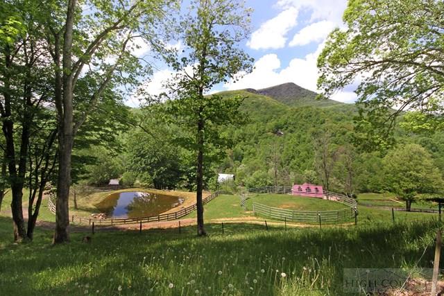 3760/910 Bald Mountain Road, West Jefferson, NC 28694
