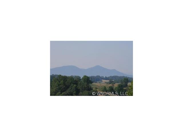 9999 Cedar Hill Rd, Alexander, NC 28701