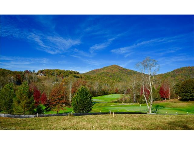 45 Club Village Way, Arden, NC 28704