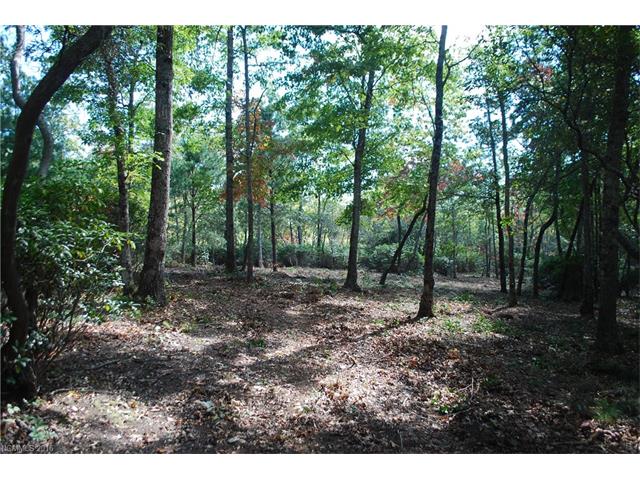 1915 White Tree Trail, Arden, NC 28704