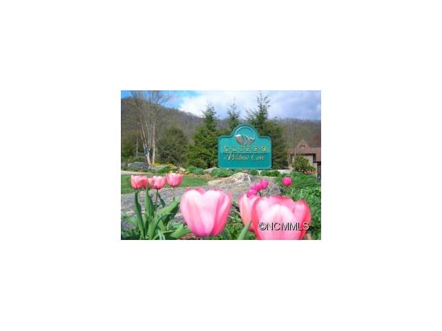 44 Deep Creek Trail, Arden, NC 28704