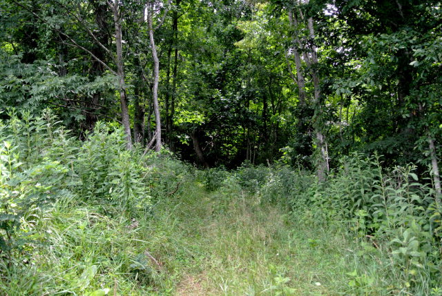 226 Highway North, Bakersville, NC 28705