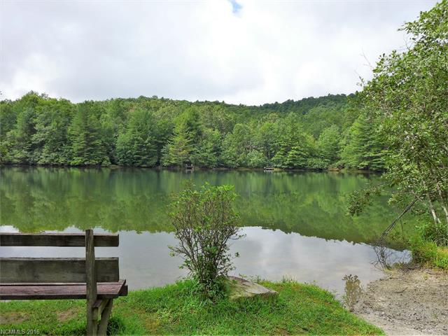 228 Arrowhead Road, Brevard, NC 28712