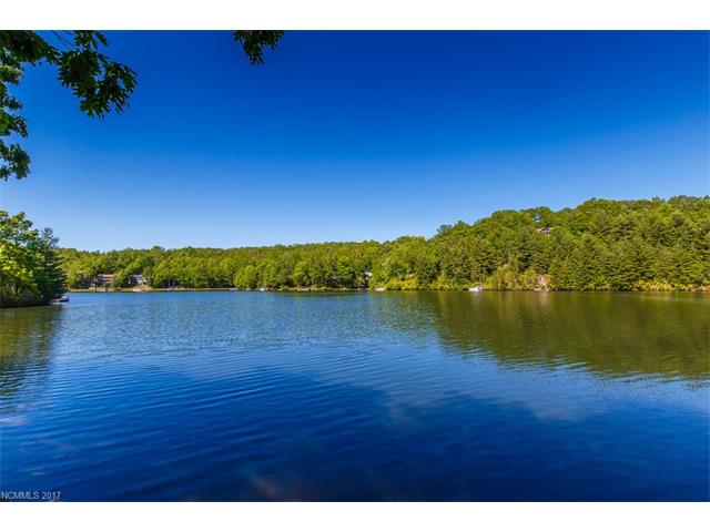 4949 Connestee Trail, Brevard, NC 28712