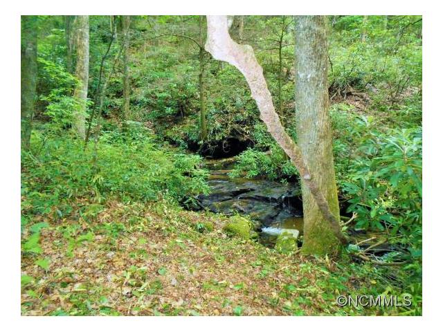 L3 Steel Creek Rd., Brevard, NC 28712
