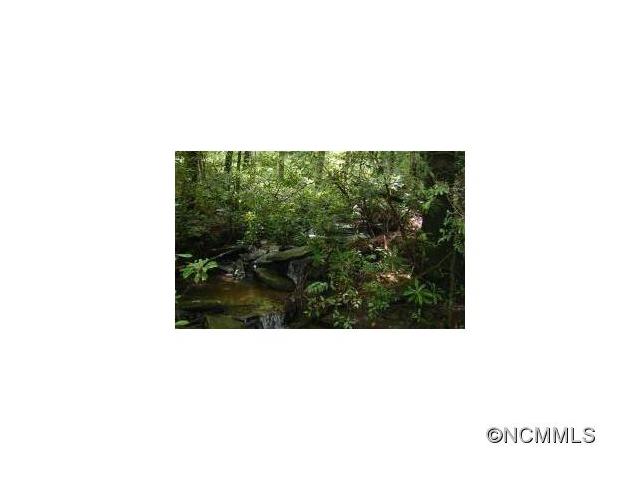 L3 Steel Creek Rd., Brevard, NC 28712