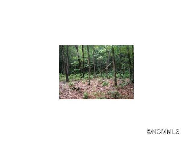 L3 Steel Creek Rd., Brevard, NC 28712