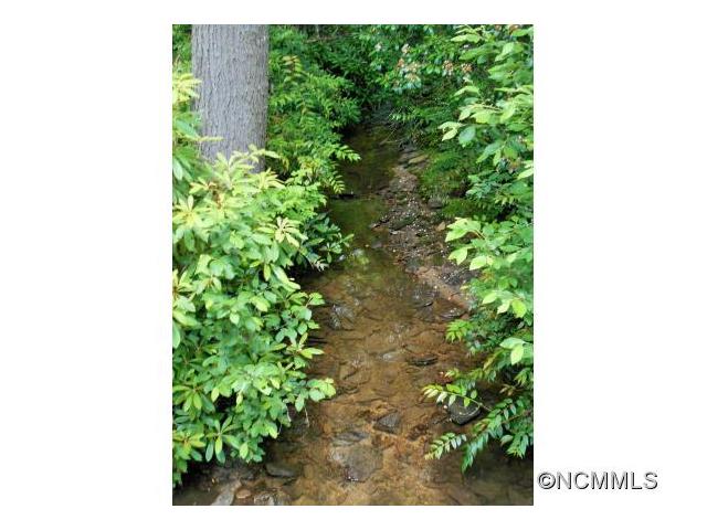 L3 Steel Creek Rd., Brevard, NC 28712