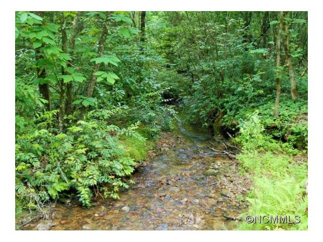 L3 Steel Creek Rd., Brevard, NC 28712