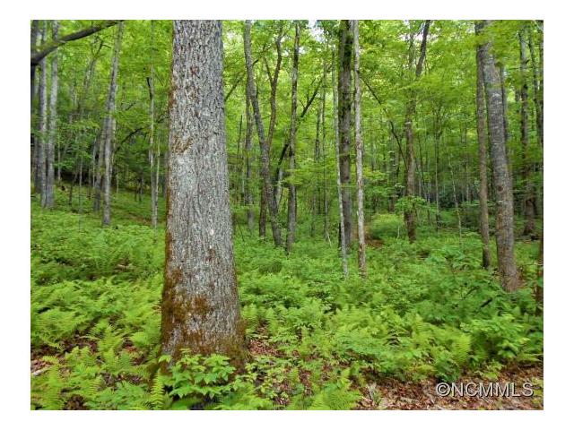 L3 Steel Creek Rd., Brevard, NC 28712