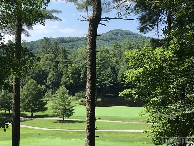 62 Indian Pipe Road, Cashiers, NC 28717