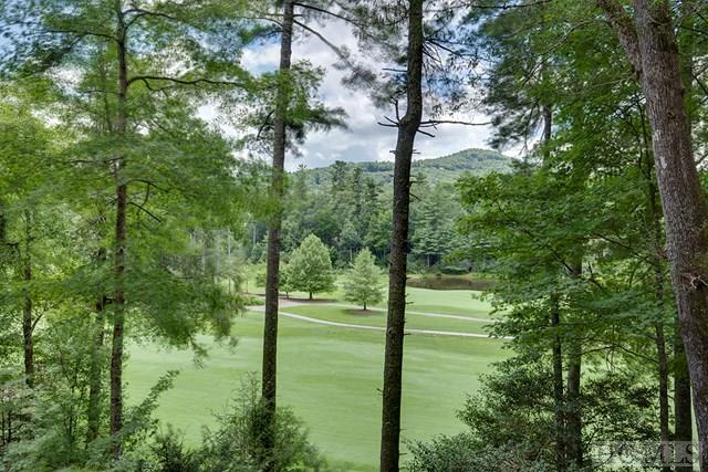 62 Indian Pipe Road, Cashiers, NC 28717