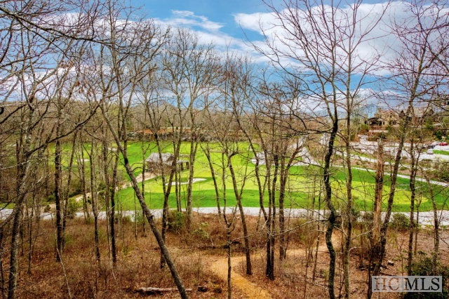 8 Mount Mitchell Court, Cashiers, NC 28717