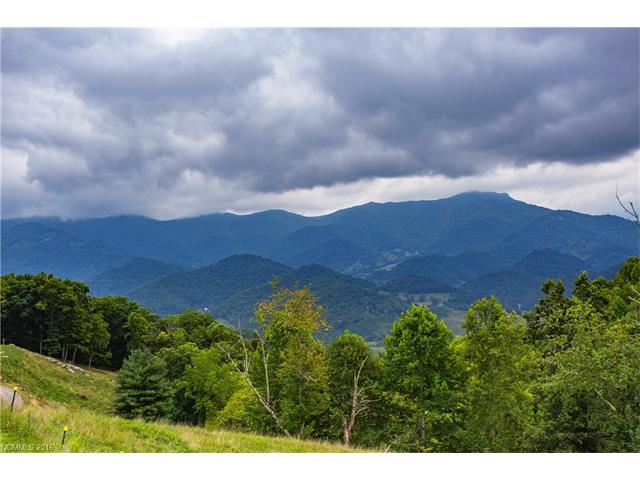 1445 Grandeur Heights, Clyde, NC 28721