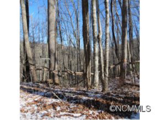 0 Pressley Creek Rd., Cullowhee, NC 28723