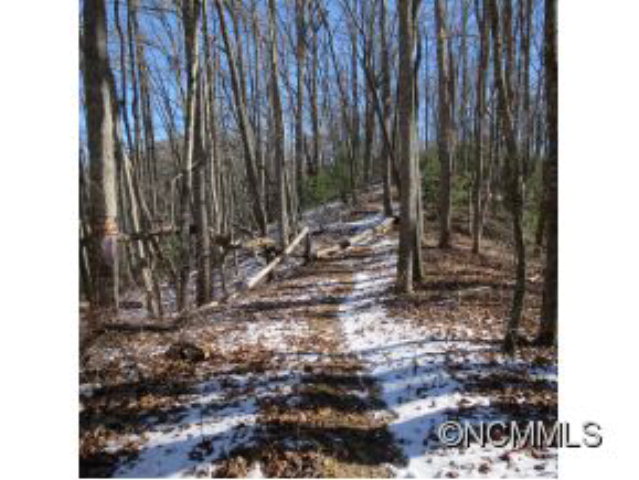 0 Pressley Creek Rd., Cullowhee, NC 28723