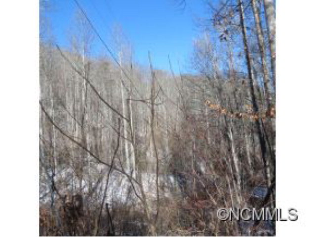 0 Pressley Creek Rd., Cullowhee, NC 28723