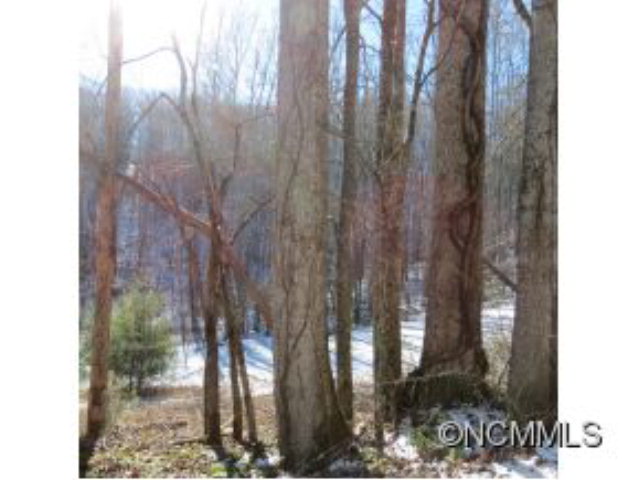 0 Pressley Creek Rd., Cullowhee, NC 28723