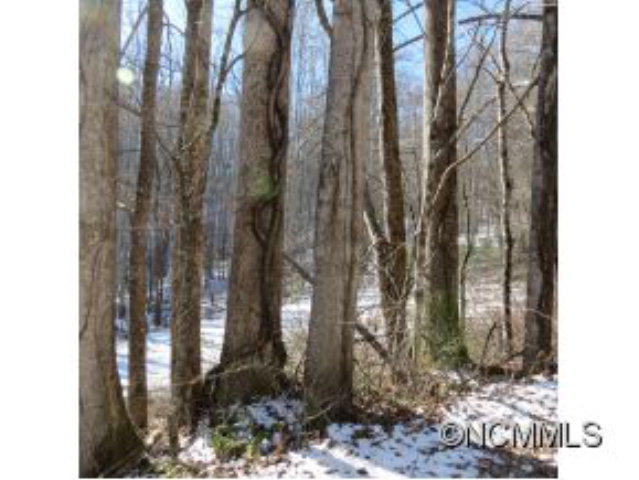 0 Pressley Creek Rd., Cullowhee, NC 28723