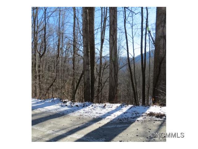 SR1001 Pressley Creek Road, Cullowhee, NC 28723