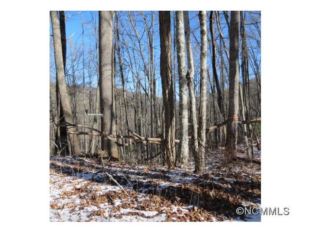 SR1001 Pressley Creek Road, Cullowhee, NC 28723