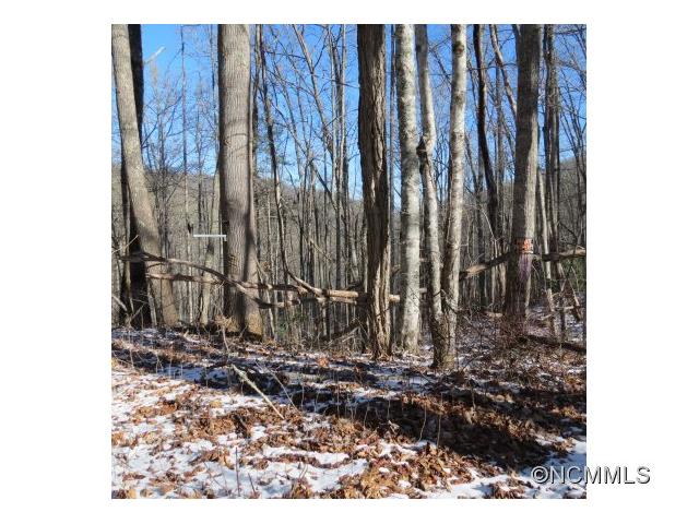 SR1001 Pressley Creek Road, Cullowhee, NC 28723