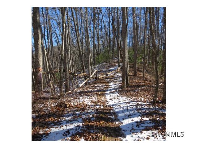 SR1001 Pressley Creek Road, Cullowhee, NC 28723