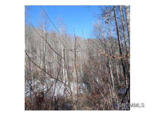 SR1001 Pressley Creek Road, Cullowhee, NC 28723