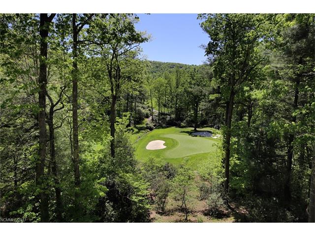 206 Glenroy Ct, Flat Rock, NC 28731