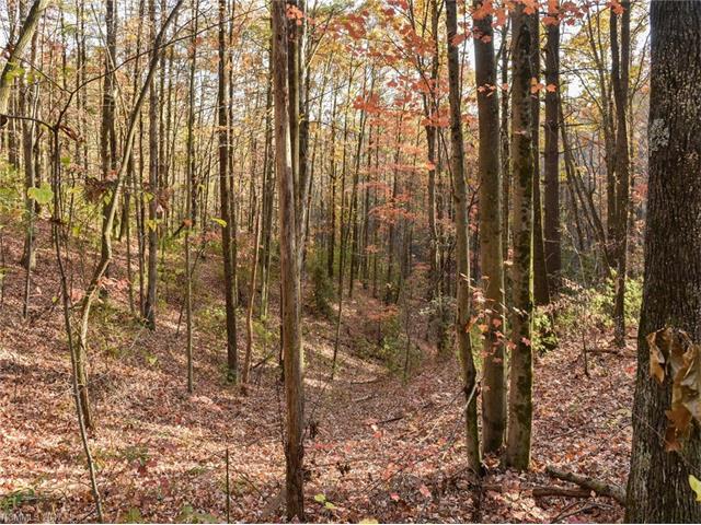 00000Old Hendersonville Rd, Fletcher, NC 28732