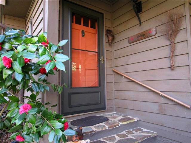 844 Young Cove Road, Franklin, NC 28734