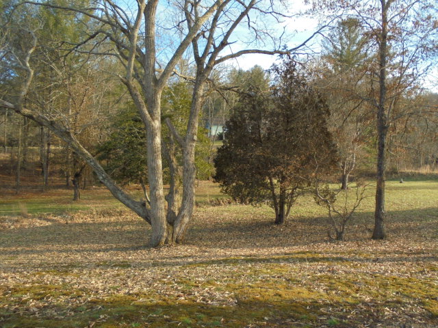 1318 MASHBURN WHITE ROAD, Franklin, NC 28734