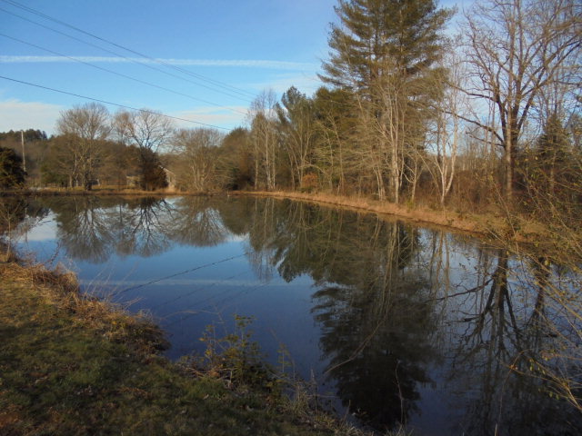 1318 MASHBURN WHITE ROAD, Franklin, NC 28734