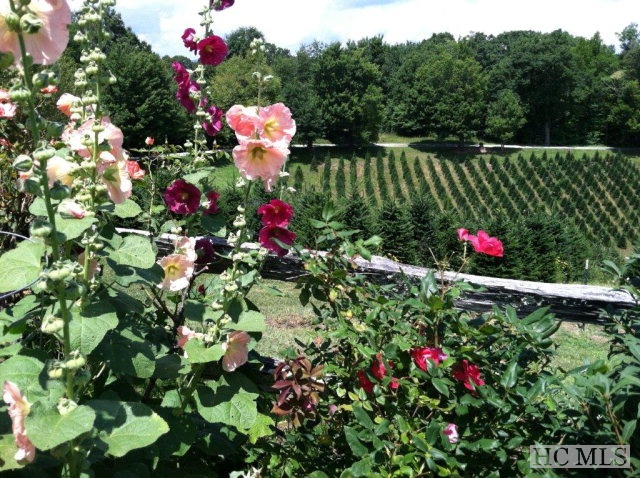 5532 Big Ridge Road, Glenville, NC 28736