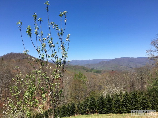 5532 Big Ridge Road, Glenville, NC 28736