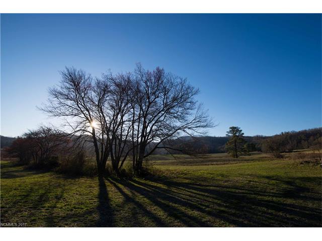 TBD Pleasant Grove Church Rd, Hendersonville, NC 28739